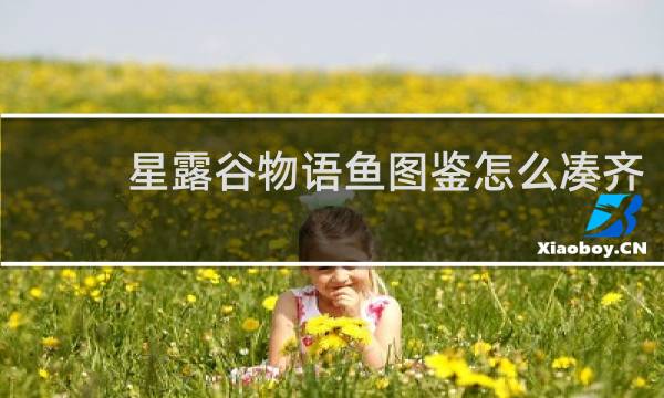 星露谷物语鱼图鉴怎么凑齐