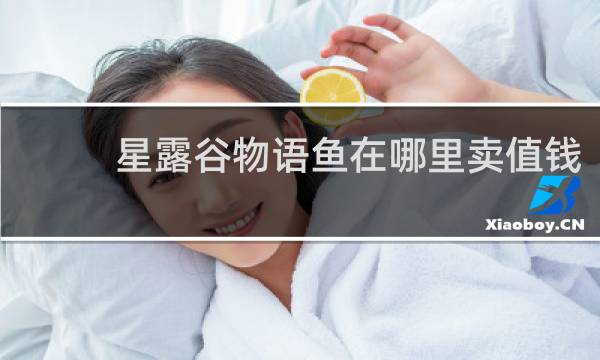 星露谷物语鱼在哪里卖值钱