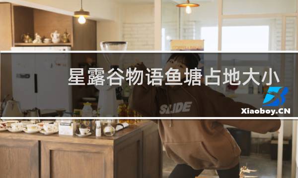 星露谷物语鱼塘占地大小