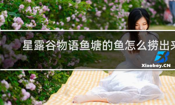 星露谷物语鱼塘的鱼怎么捞出来