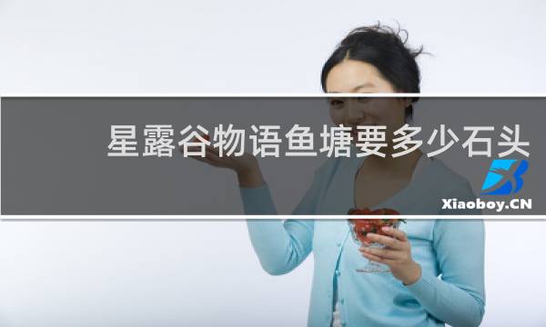 星露谷物语鱼塘要多少石头