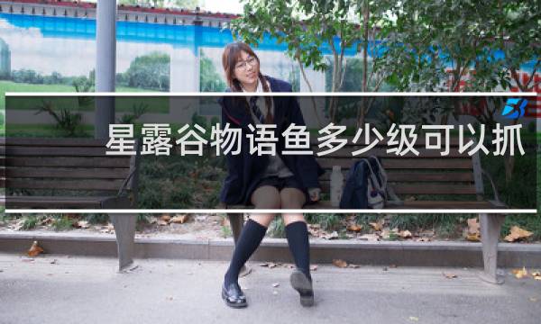 星露谷物语鱼多少级可以抓