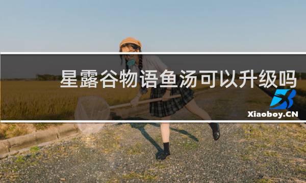 星露谷物语鱼汤可以升级吗