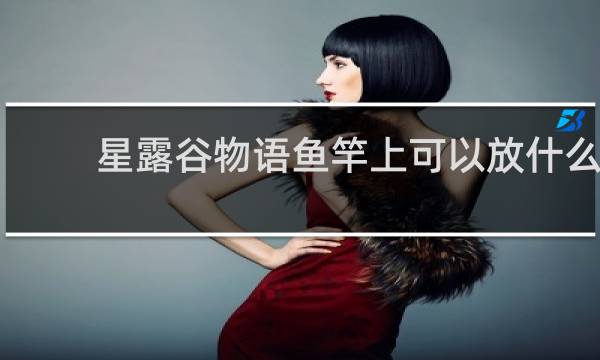 星露谷物语鱼竿上可以放什么