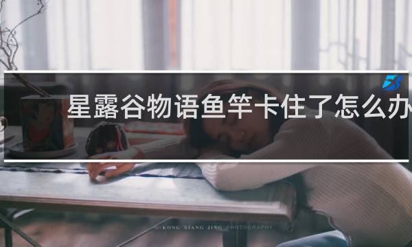 星露谷物语鱼竿卡住了怎么办