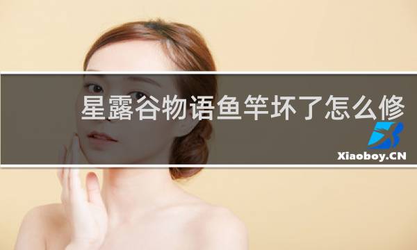 星露谷物语鱼竿坏了怎么修