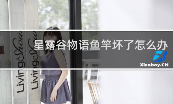 星露谷物语鱼竿坏了怎么办