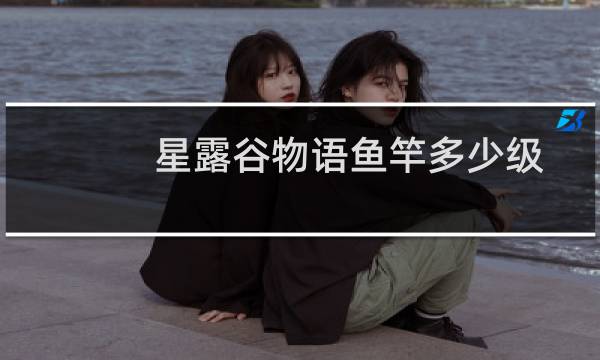 星露谷物语鱼竿多少级