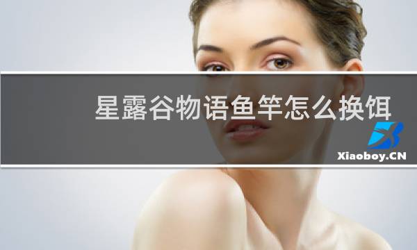 星露谷物语鱼竿怎么换饵