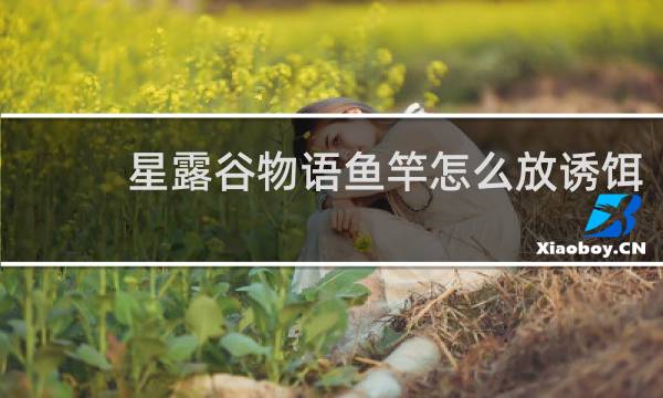 星露谷物语鱼竿怎么放诱饵