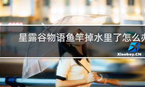 星露谷物语鱼竿掉水里了怎么办