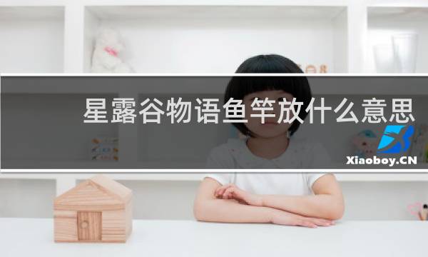 星露谷物语鱼竿放什么意思