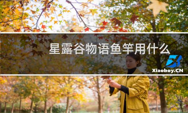 星露谷物语鱼竿用什么