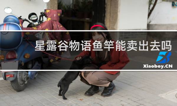 星露谷物语鱼竿能卖出去吗