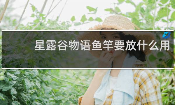 星露谷物语鱼竿要放什么用