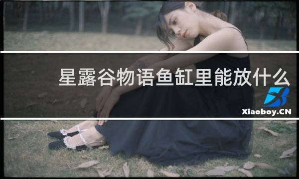 星露谷物语鱼缸里能放什么