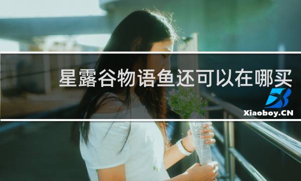 星露谷物语鱼还可以在哪买