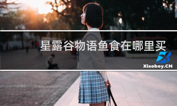 星露谷物语鱼食在哪里买