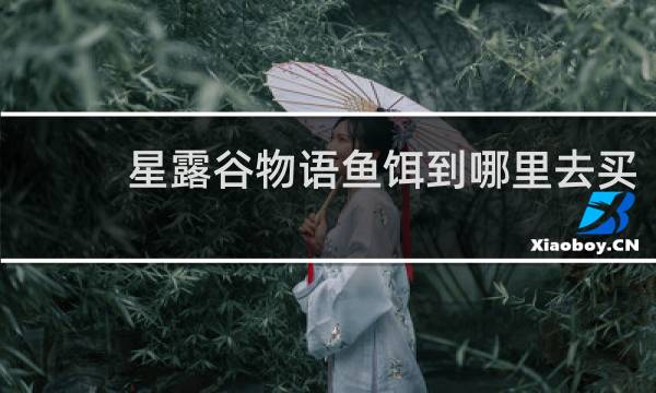 星露谷物语鱼饵到哪里去买