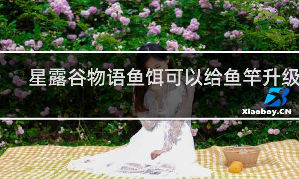 星露谷物语鱼饵可以给鱼竿升级吗