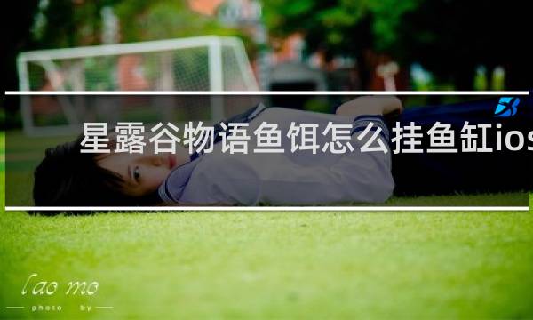 星露谷物语鱼饵怎么挂鱼缸ios