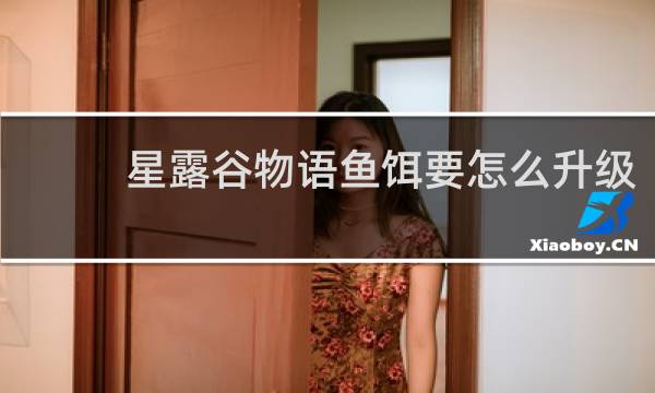 星露谷物语鱼饵要怎么升级