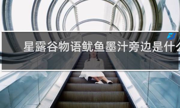 星露谷物语鱿鱼墨汁旁边是什么