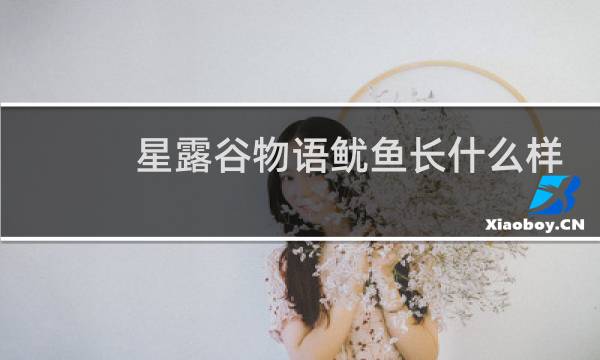 星露谷物语鱿鱼长什么样