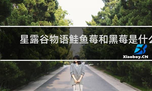 星露谷物语鲑鱼莓和黑莓是什么