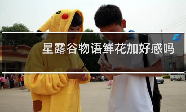 星露谷物语鲜花加好感吗