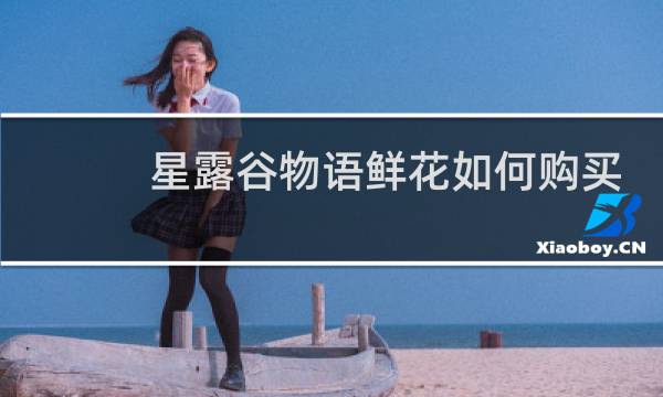 星露谷物语鲜花如何购买