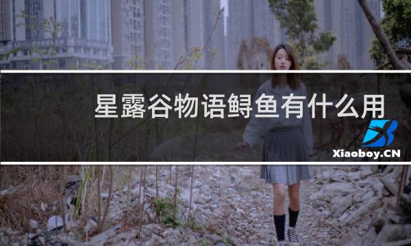 星露谷物语鲟鱼有什么用