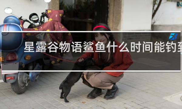 星露谷物语鲨鱼什么时间能钓到