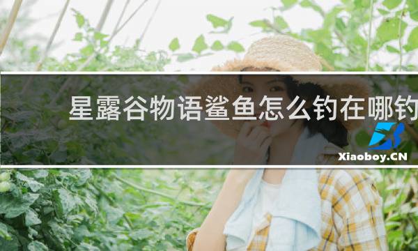 星露谷物语鲨鱼怎么钓在哪钓