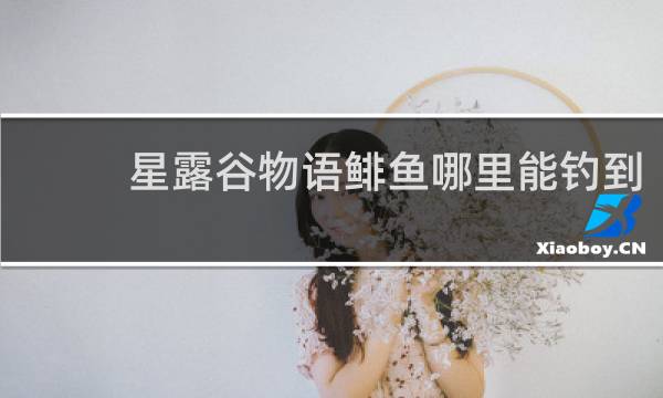 星露谷物语鲱鱼哪里能钓到