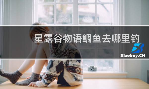 星露谷物语鲷鱼去哪里钓