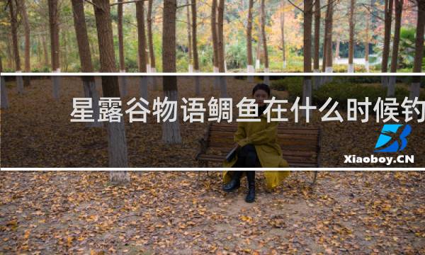 星露谷物语鲷鱼在什么时候钓