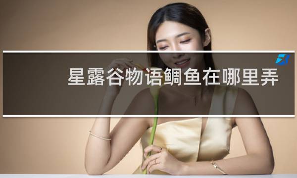 星露谷物语鲷鱼在哪里弄