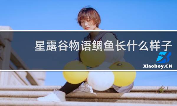 星露谷物语鲷鱼长什么样子