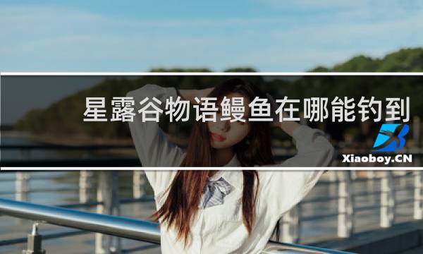 星露谷物语鳗鱼在哪能钓到