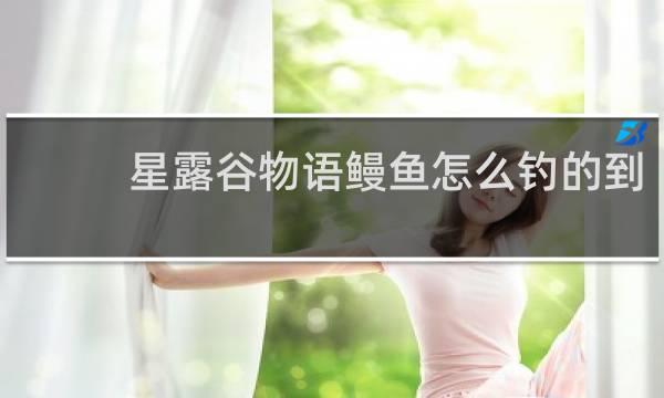 星露谷物语鳗鱼怎么钓的到