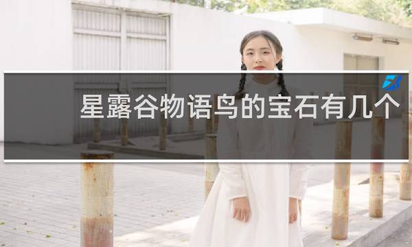 星露谷物语鸟的宝石有几个