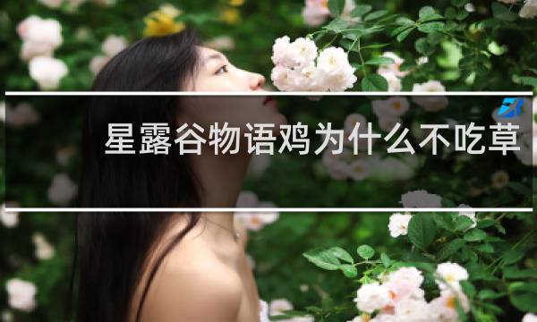 星露谷物语鸡为什么不吃草