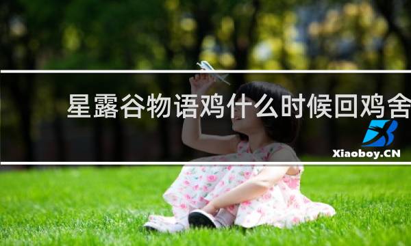 星露谷物语鸡什么时候回鸡舍