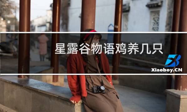 星露谷物语鸡养几只