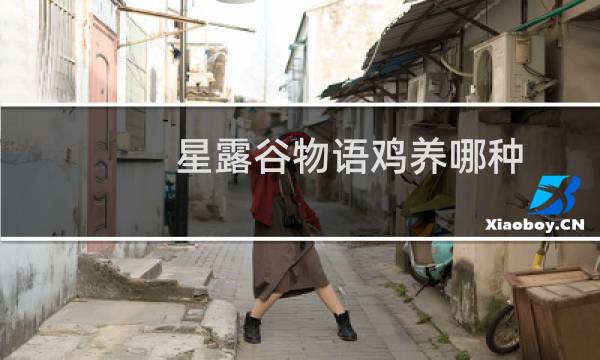 星露谷物语鸡养哪种