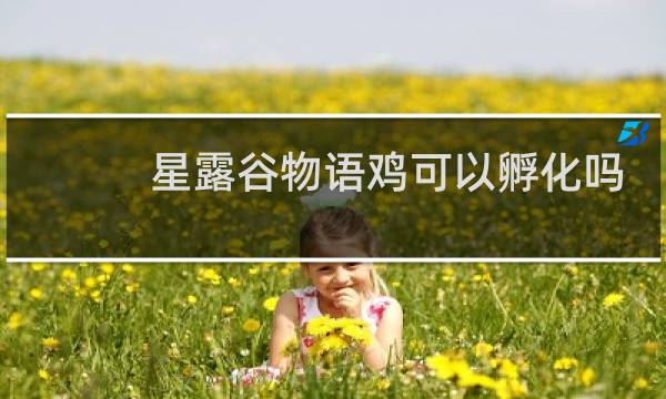 星露谷物语鸡可以孵化吗