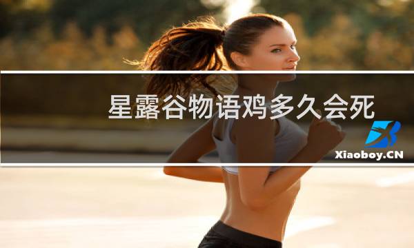 星露谷物语鸡多久会死