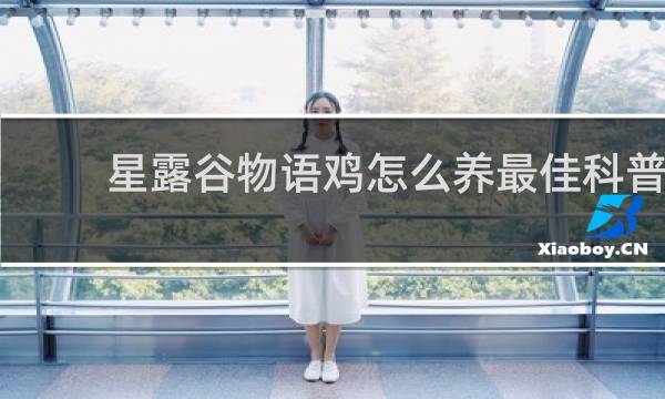 星露谷物语鸡怎么养最佳科普