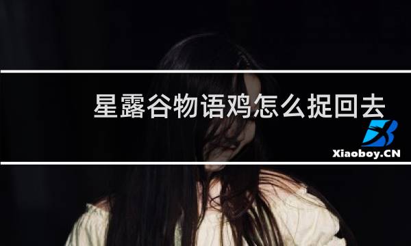 星露谷物语鸡怎么捉回去